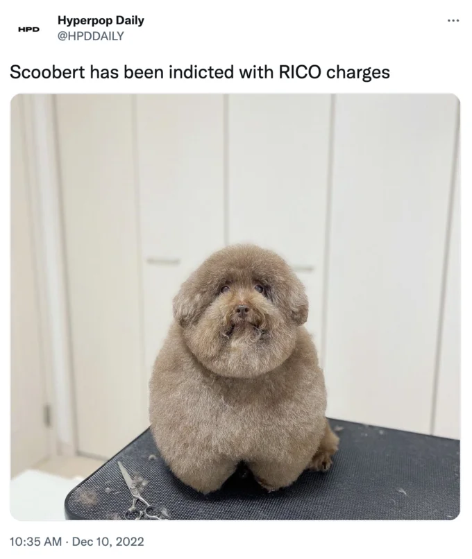 Scoobert and Churchill — Twitter screenshot of Hyperpop Daily tweet about Scoobert being indicted with RICO charges