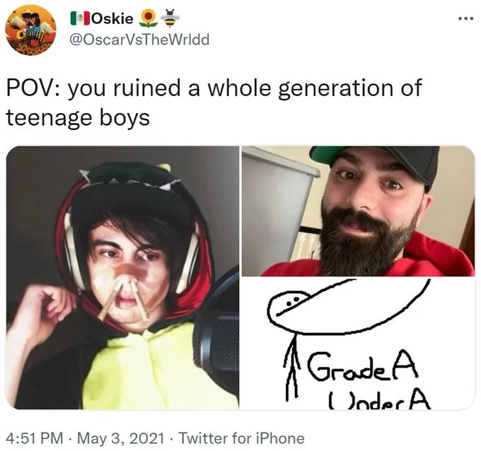 Scott Pilgrim Vs The World Ruined A Whole Generation Of Women — Tweet reading 'POV: you ruined a whole generation of teenage boys' with images of a kigu
