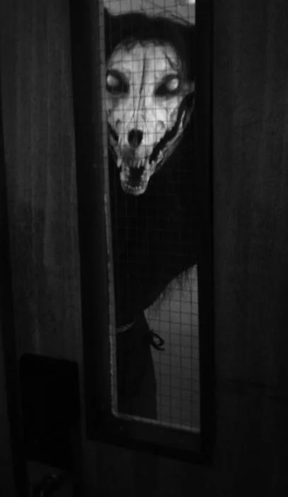 Black and white photograph of SCP-1471 behind a tall wire mesh door window