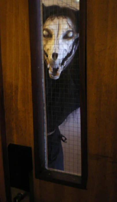 Full color photo of SCP-1471 figure pressed against tall wire mesh door window