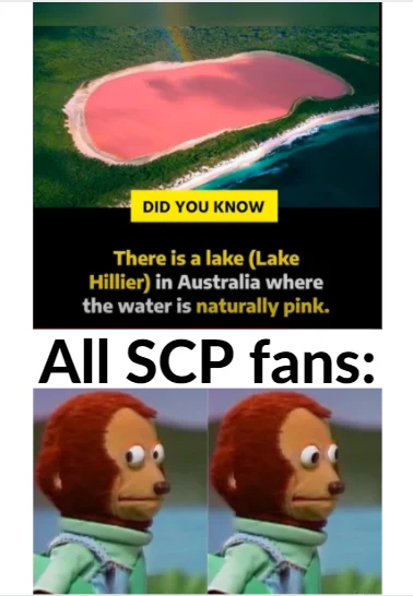 SCP Foundation Memes — A meme showing Lake Hillier's naturally pink water followed by a monkey reaction image labeled 'All SCP fans:', humorously depicting