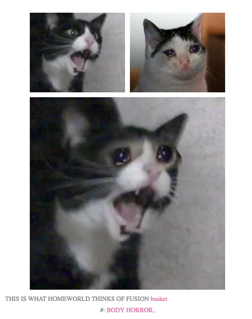 Screaming Cat — Tumblr collage merging the crying cat and screaming tuxedo cat into one composite image with a Steven Universe caption.