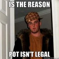 A Scumbag Steve meme with captions 'Is the reason' and 'Pot isn't legal,' humorously attributing anti-marijuana legislation to the character's behavior.