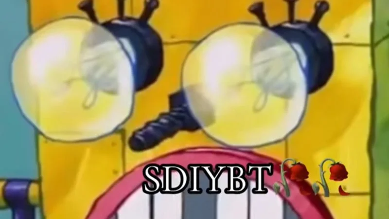 Sdiybt Start Digging In Yo Butt Twin