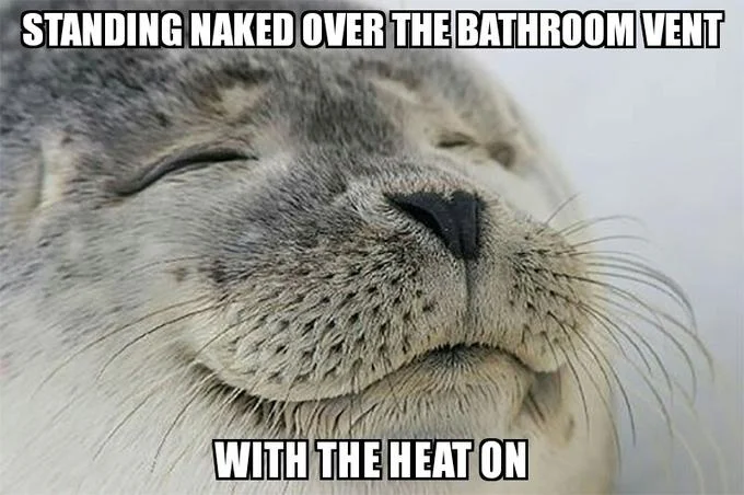 Seal of Approval — Seal meme with caption about standing over a bathroom vent with heat on