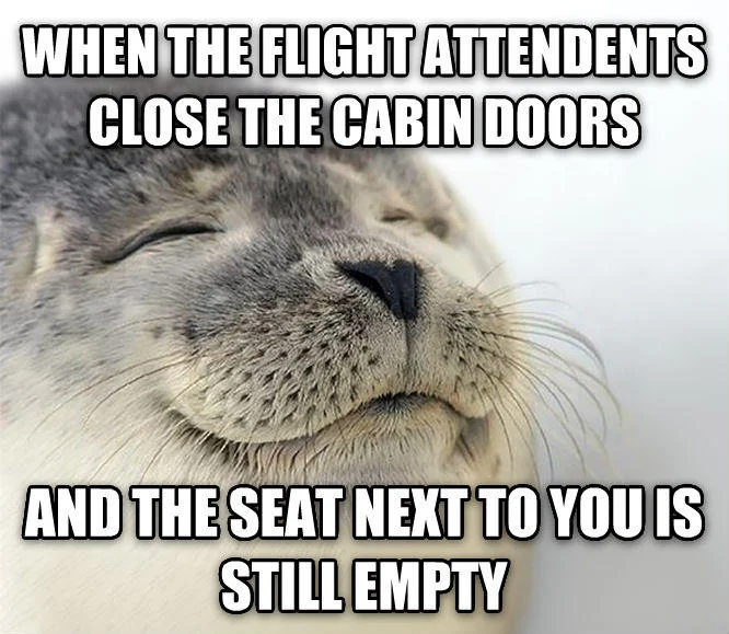 Seal of Approval — Seal meme about driving past your workplace on a day off and seeing it busy