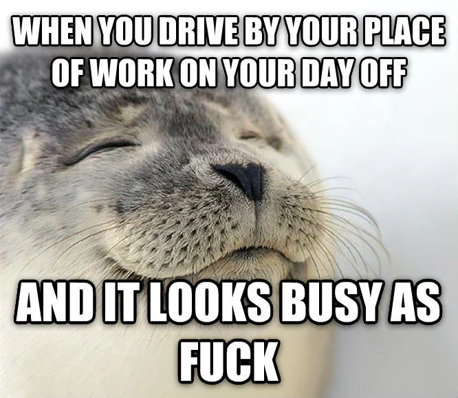 Seal of Approval — Seal meme about finding like-minded coworkers with foul mouths at a new job