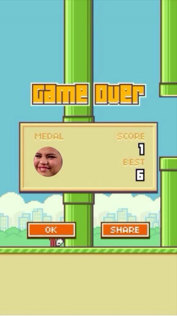 Selena Gomez Crying — Flappy Bird game over screen with Selena Gomez face as medal