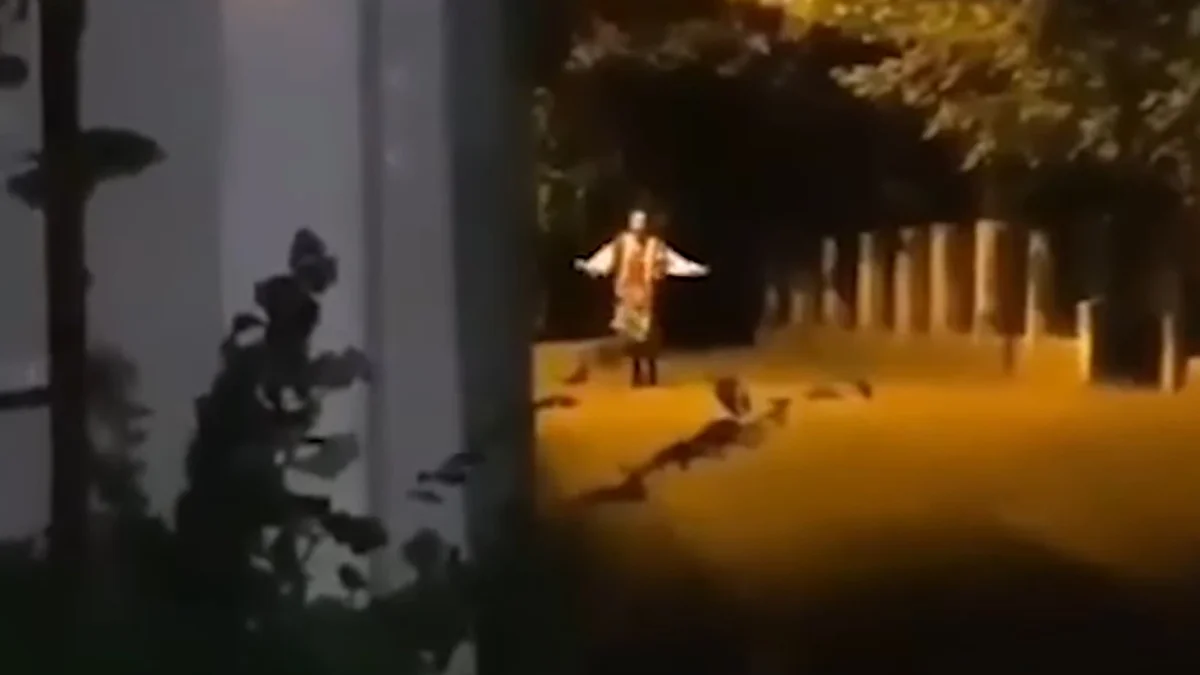 Serbian Dancing Lady — Blurry nighttime footage of a figure in Serbian folk costume standing on a tree-lined path with arms raised.