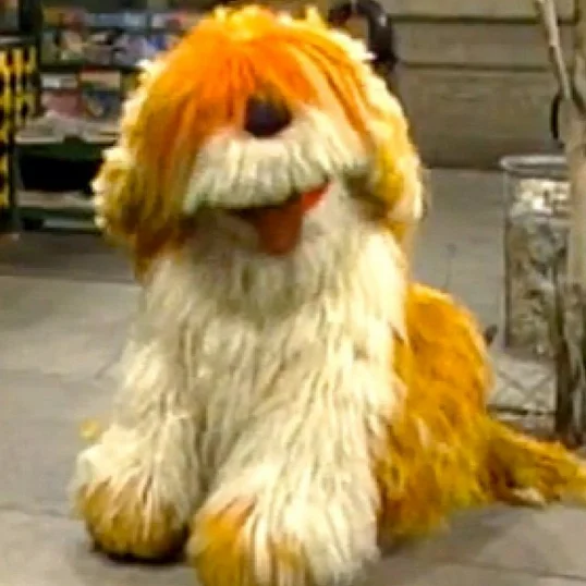 Puppeteer in yellow shirt reaching up into the Oscar the Grouch puppet on a Sesame Street set.
