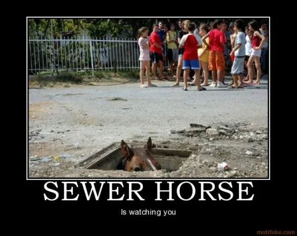 Sewer Horsebasement Horse