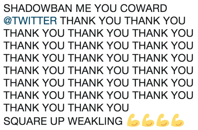 Shadow Banning Shadowban — A bold text post reading 'SHADOWBAN ME YOU COWARD @TWITTER THANK YOU THANK YOU...' repeated defiantly with flexed-arm emojis.