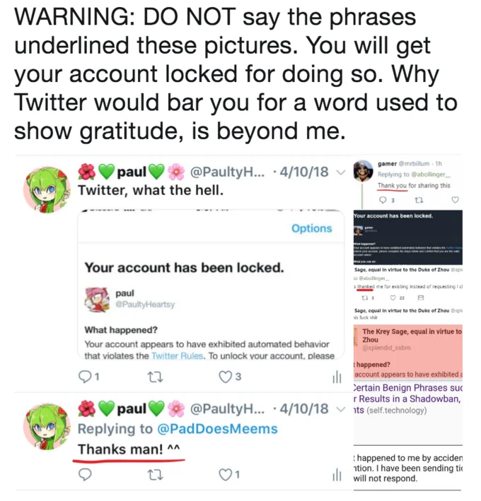Shadow Banning Shadowban — A composite screenshot showing a Twitter warning about phrases triggering account locks, alongside tweets documenting users being