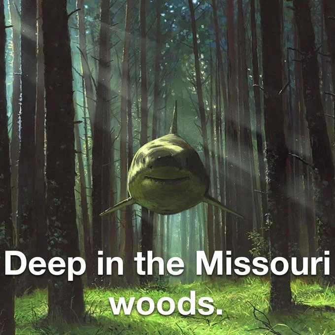 Shark In The Woods — Breaking Bad meme with Walter and Jesse encountering the flying forest shark
