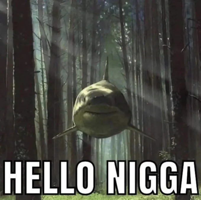 Shark In The Woods — Forest shark meme captioned I heard there was tomfoolery here