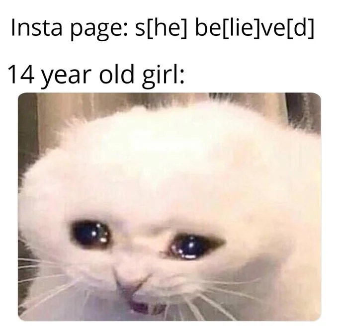 She Believed Sbeve — Meme with Insta page s[he] be[lie]ve[d] and crying cat reaction