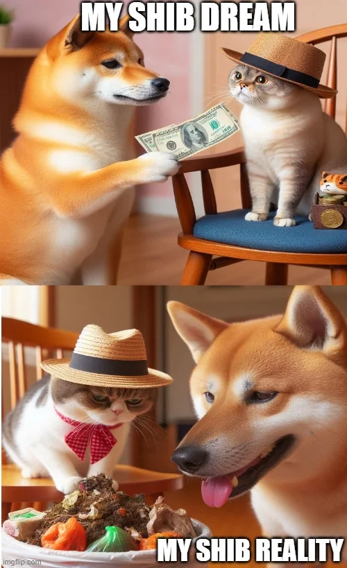 Shiba Inu (SHIB) — A two-panel meme comparing Shib ownership dreams with Shiba Inu and cat with money versus reality of mundane dog ownership.