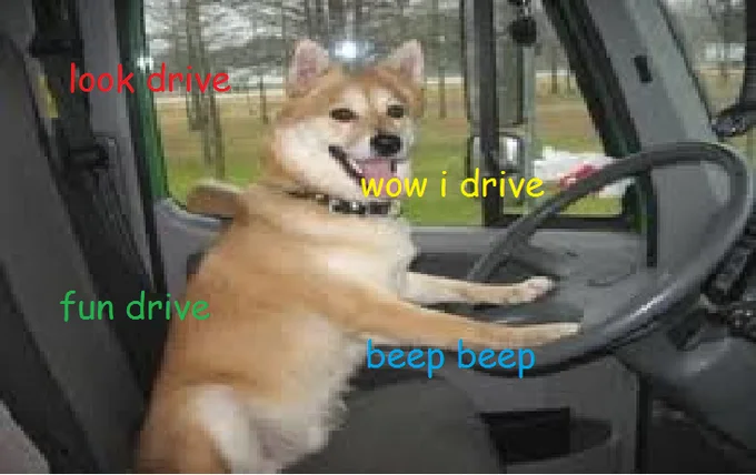 Shiba Inus — Shiba Inu in a truck driver seat with colorful Comic Sans caption overlays