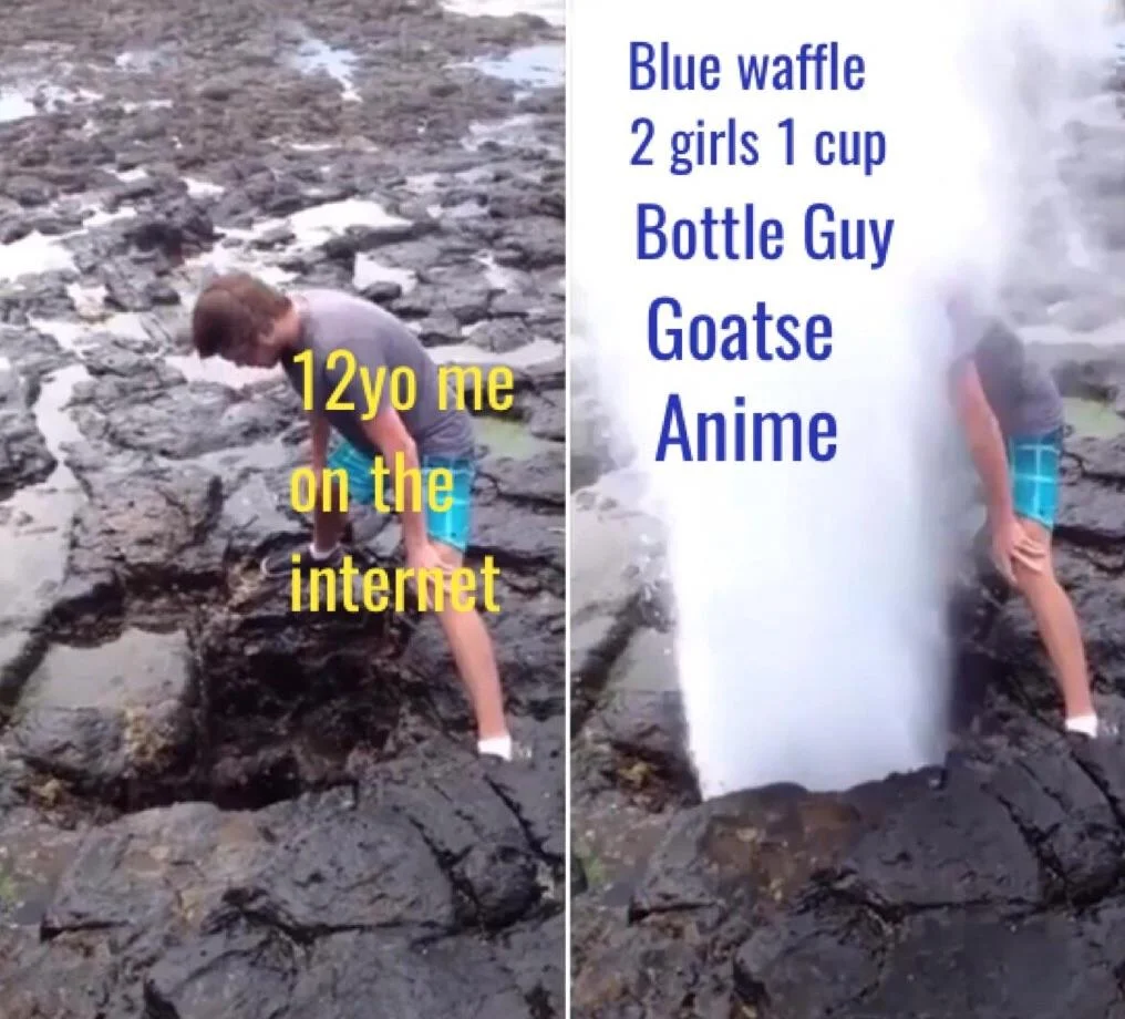 Shock Sites — Two-panel meme comparing a boy peering into a blowhole to being blasted by it, labeled with shock-site names.