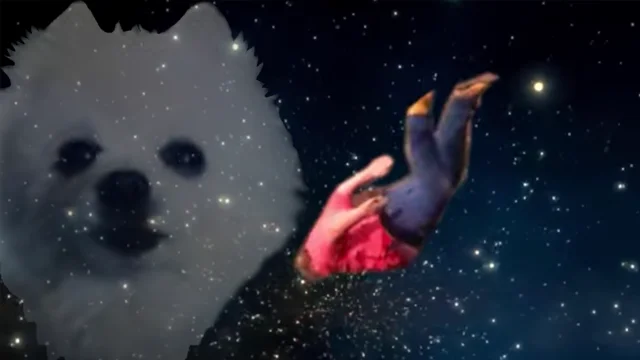 Shooting Stars — A space-themed composition integrating a dog's face with a starfield background and a descending red-orange comet or asteroid.