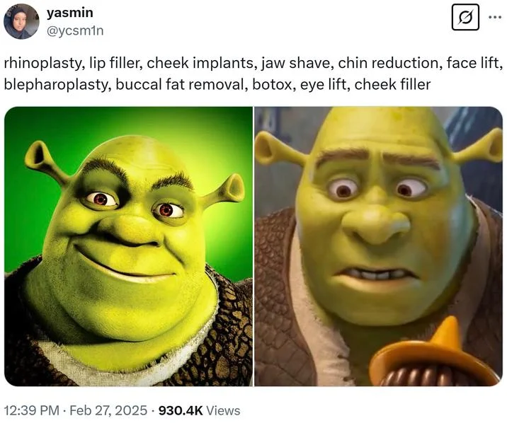 Shrek 5 Character Redesigns — A Twitter post screenshot listing plastic surgery procedures as commentary on Shrek's redesigned appearance with before-and-after