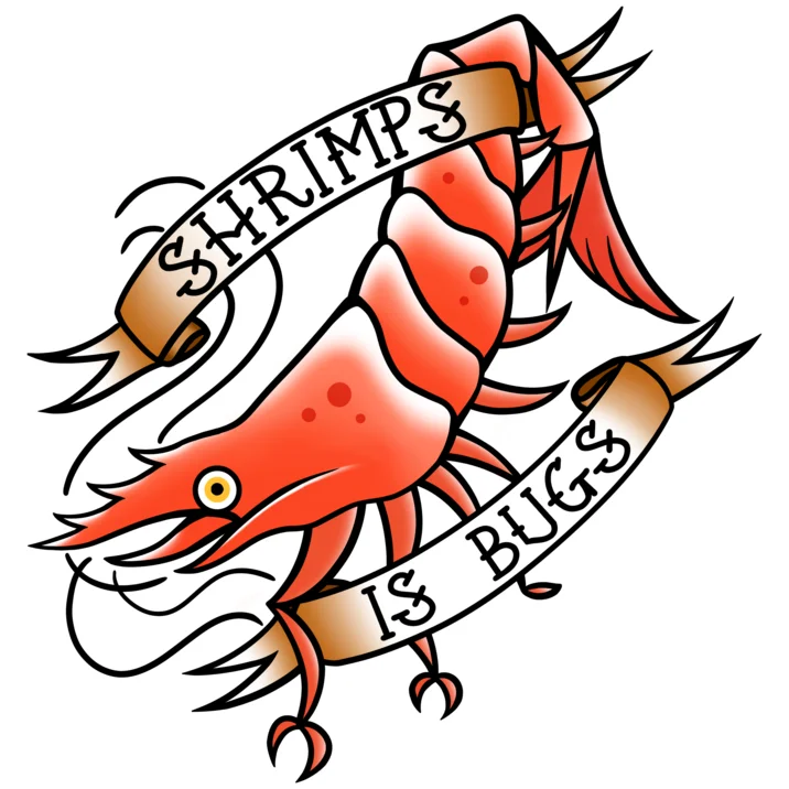 Traditional tattoo flash of a red shrimp wrapped in banners reading 'Shrimps Is Bugs'