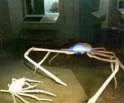 Shut The Fuck Up Liberal Silence Brand — A museum photograph showing a large Japanese spider crab towering over a much smaller crab, displaying stark size
