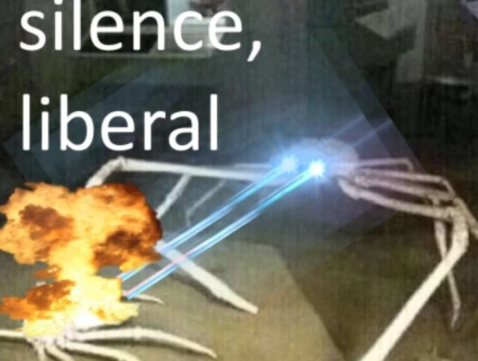 Shut The Fuck Up Liberal Silence Brand — The iconic spider crab meme with the large crab firing blue laser beams at a smaller crab in an orange explosion, with