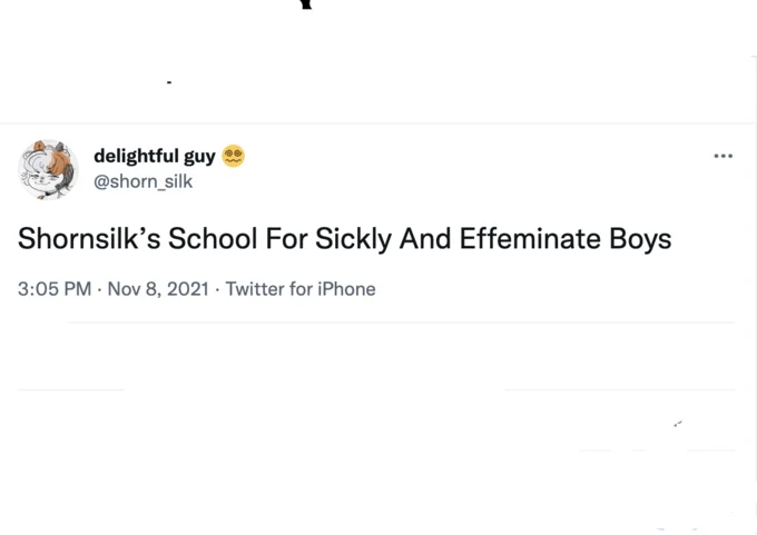 Sickly Skinny White Men — Tweet reading 'Shornsilk's School For Sickly And Effeminate Boys'