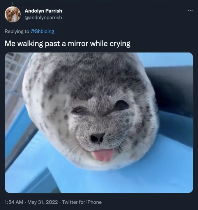 Silly Baby Seal With Tongue Out Ponsuke Kun — Tweet reading 'Me walking past a mirror while crying' with a photo of Ponsuke-kun sticking his tongue out.