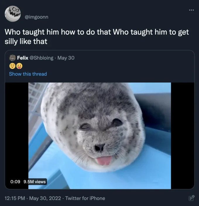 Silly Baby Seal With Tongue Out Ponsuke Kun — Tweet reading 'Who taught him how to do that Who taught him to get silly like that' quoting the viral Ponsuke-kun