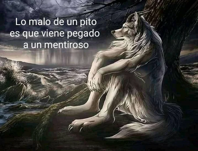 Sitting Wolf image with a Spanish crude-joke caption