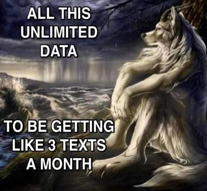 Sitting Wolf meme complaining about unlimited data and few text messages
