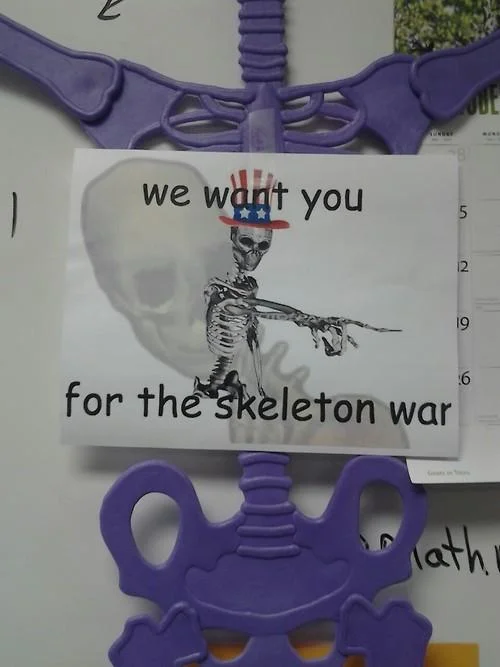Tumblr text post defining skeleton war as a century-long siege against fuckboys