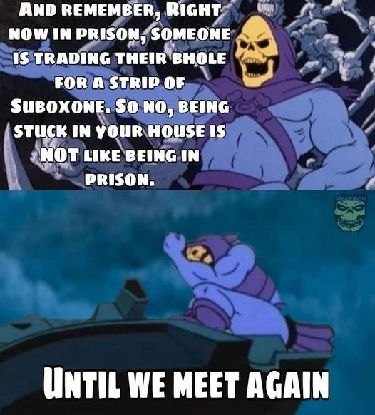 Skeletor Facts meme featuring Skeletor discussing prison conditions versus quarantine at home with signature two-panel format.