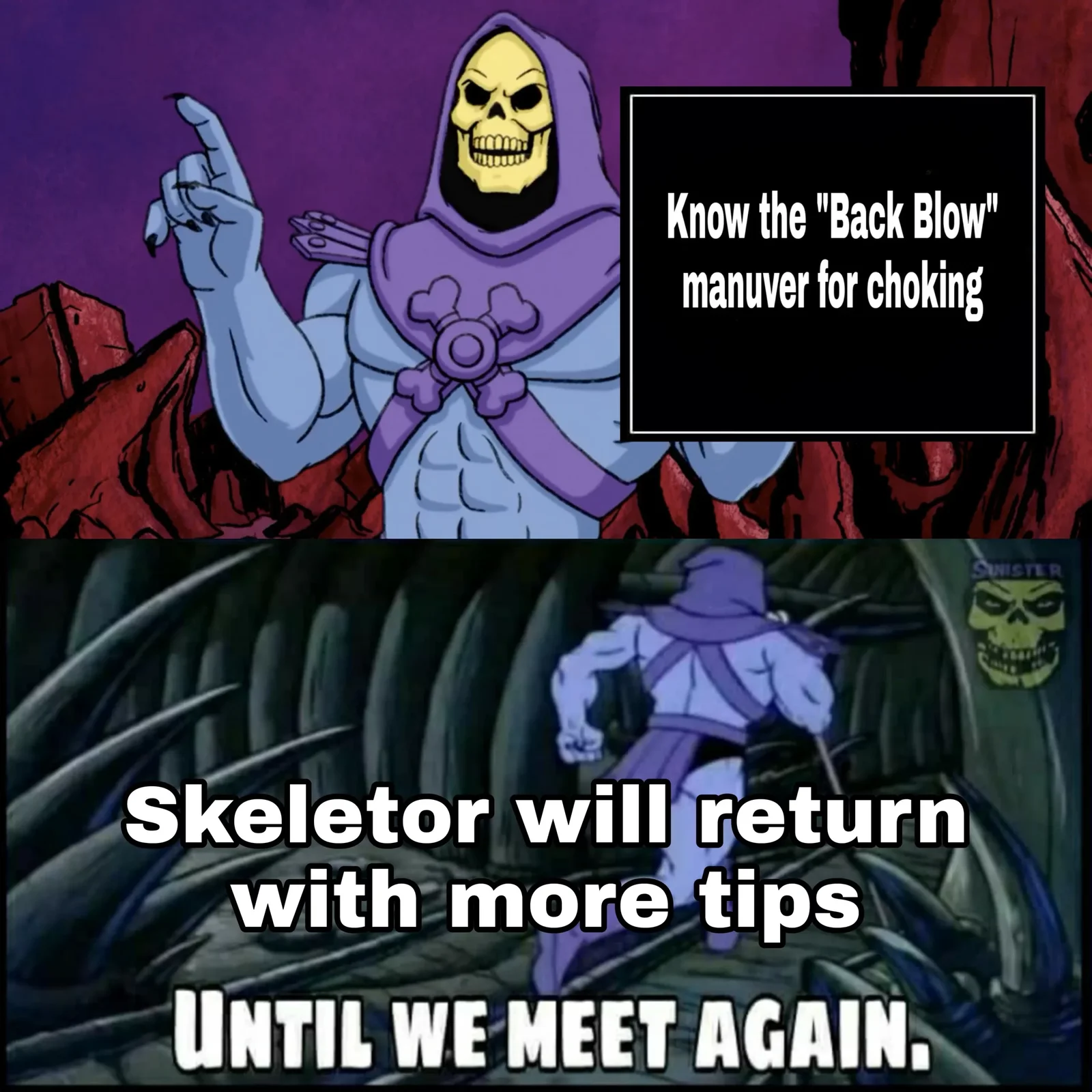 Skeletor in two panels demonstrating the meme format, presenting an unsettling fact about choking techniques and running away with 'UNTIL WE MEET AGAIN'.