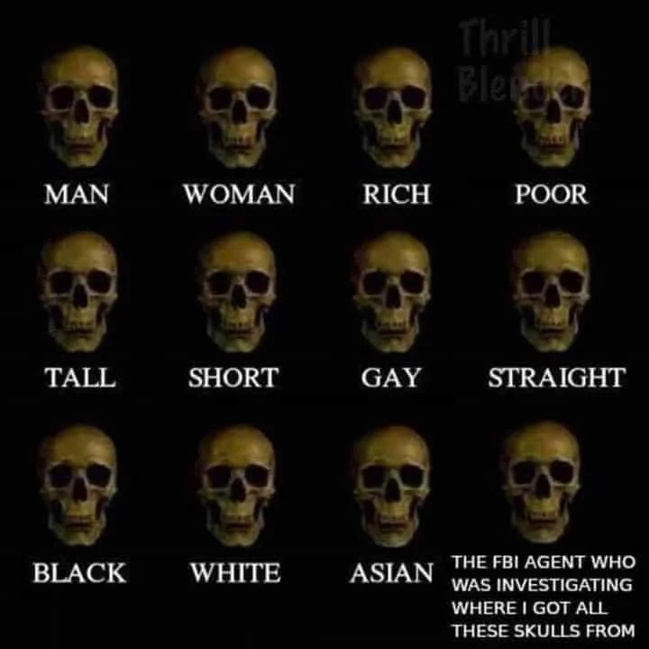 A 4x3 grid of identical golden skulls with white text labels beneath each one representing different identities, emphasizing equality in death.