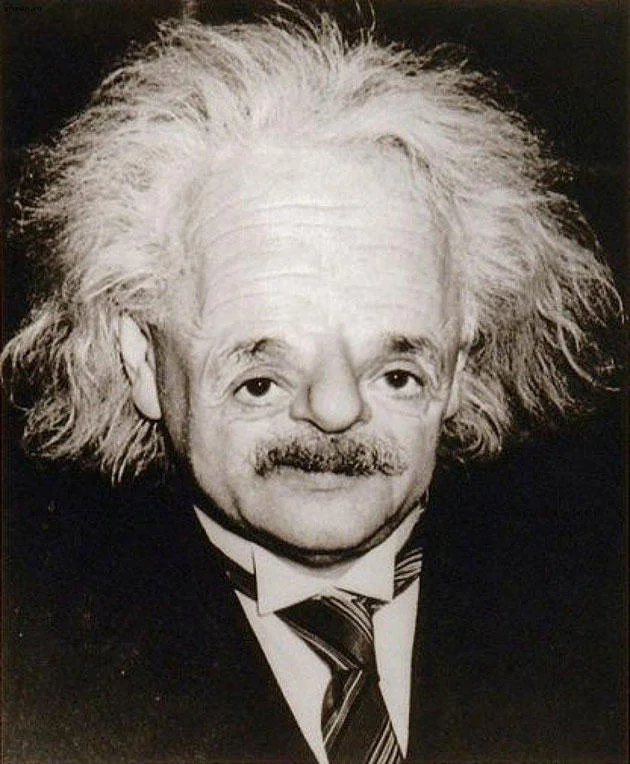 Sloth-Facing — Albert Einstein portrait with sloth-face edit