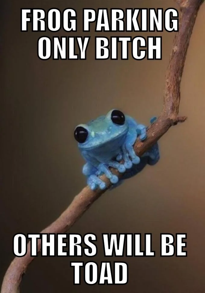 Small Fact Frog meme with text 'Frog parking only bitch / Others will be toad'.