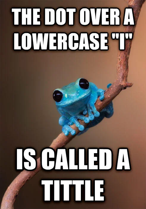 Small Fact Frog meme stating the dot over a lowercase i is called a tittle.
