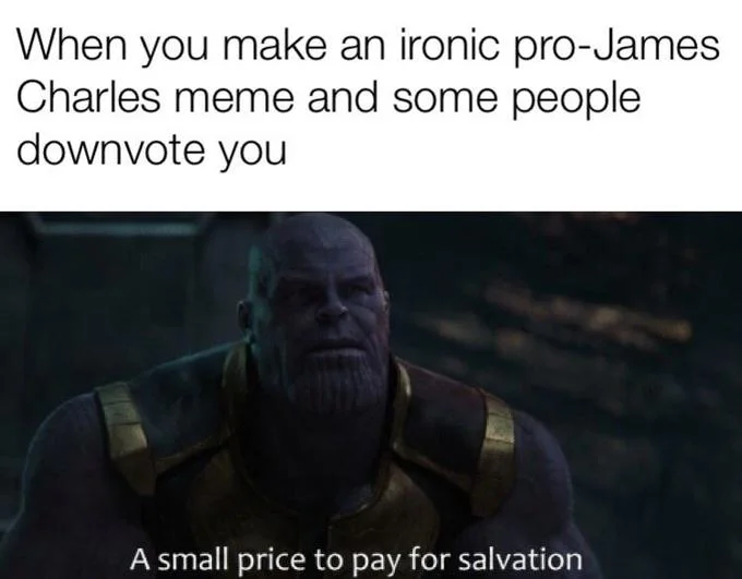 A Small Price to Pay for Salvation — Meme about posting ironic pro-James Charles content and receiving downvotes with Thanos accepting negative reception.