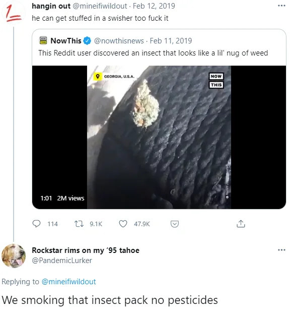 Smoking On That X Pack — Tweet reply reading 'We smoking that insect pack no pesticides' under a NowThis video
