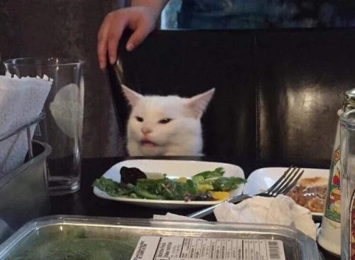 Smudge the Cat — White tabby cat sitting at a dinner table with a skeptical, unimpressed expression against dark background.