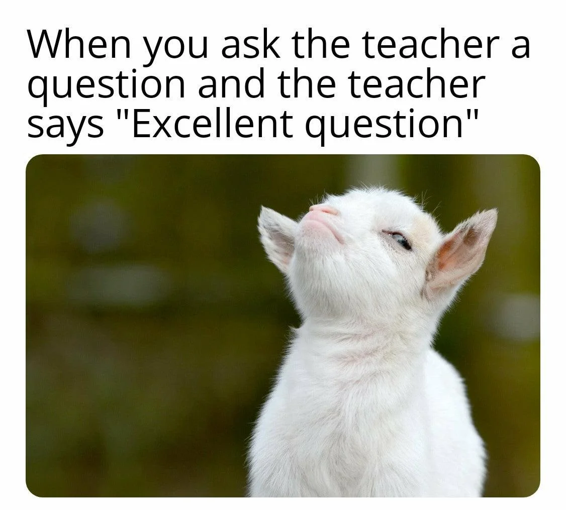 Smug Goat — A white goat with head tilted upward displaying a closed-eyed, satisfied smug expression.
