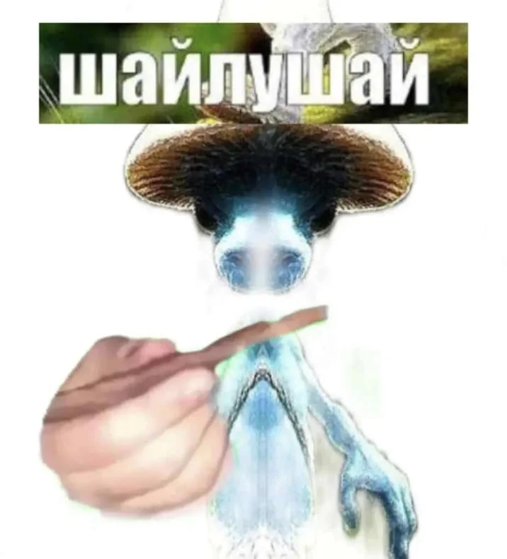 Smurf Cat with Russian text being pulled or manipulated in meme format