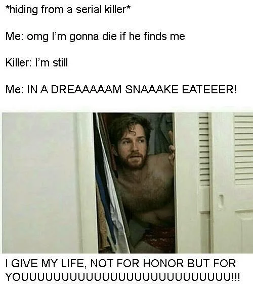 "Snake Eater" (Song) — Serial killer hiding meme using the Snake Eater song lyrics as a punchline