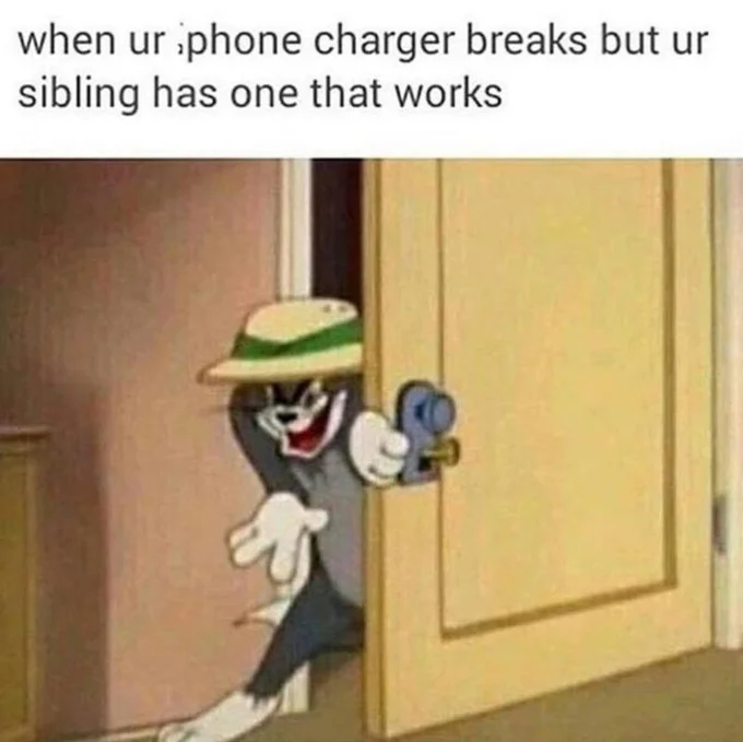 Sneaky Tom meme captioned about sneaking to take a sibling's working iPhone charger