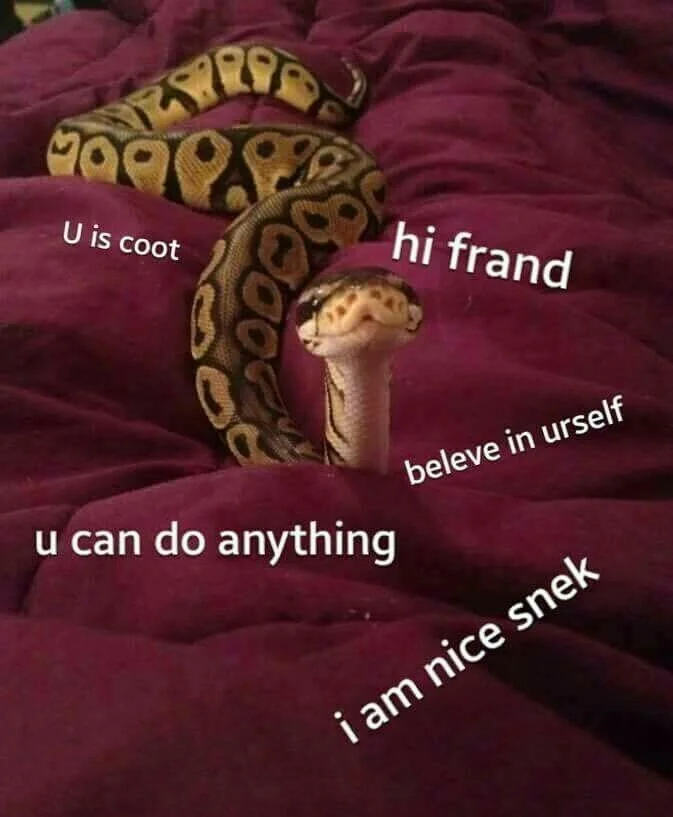 A golden ball python with encouraging snek-speak captions including 'u can do anything' and 'i am nice snek.'