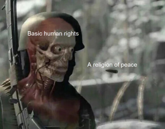 Sniper Elite Headshot — Sniper Elite meme labeled with 'Basic human rights' on skeleton and 'A religion of peace' as bullet.