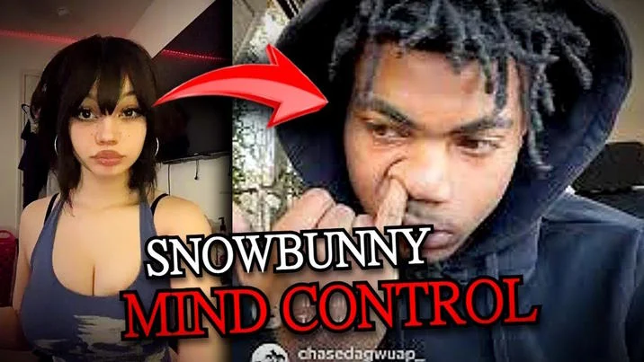 Compressed version of the Snowbunny Mind Control split-image meme template